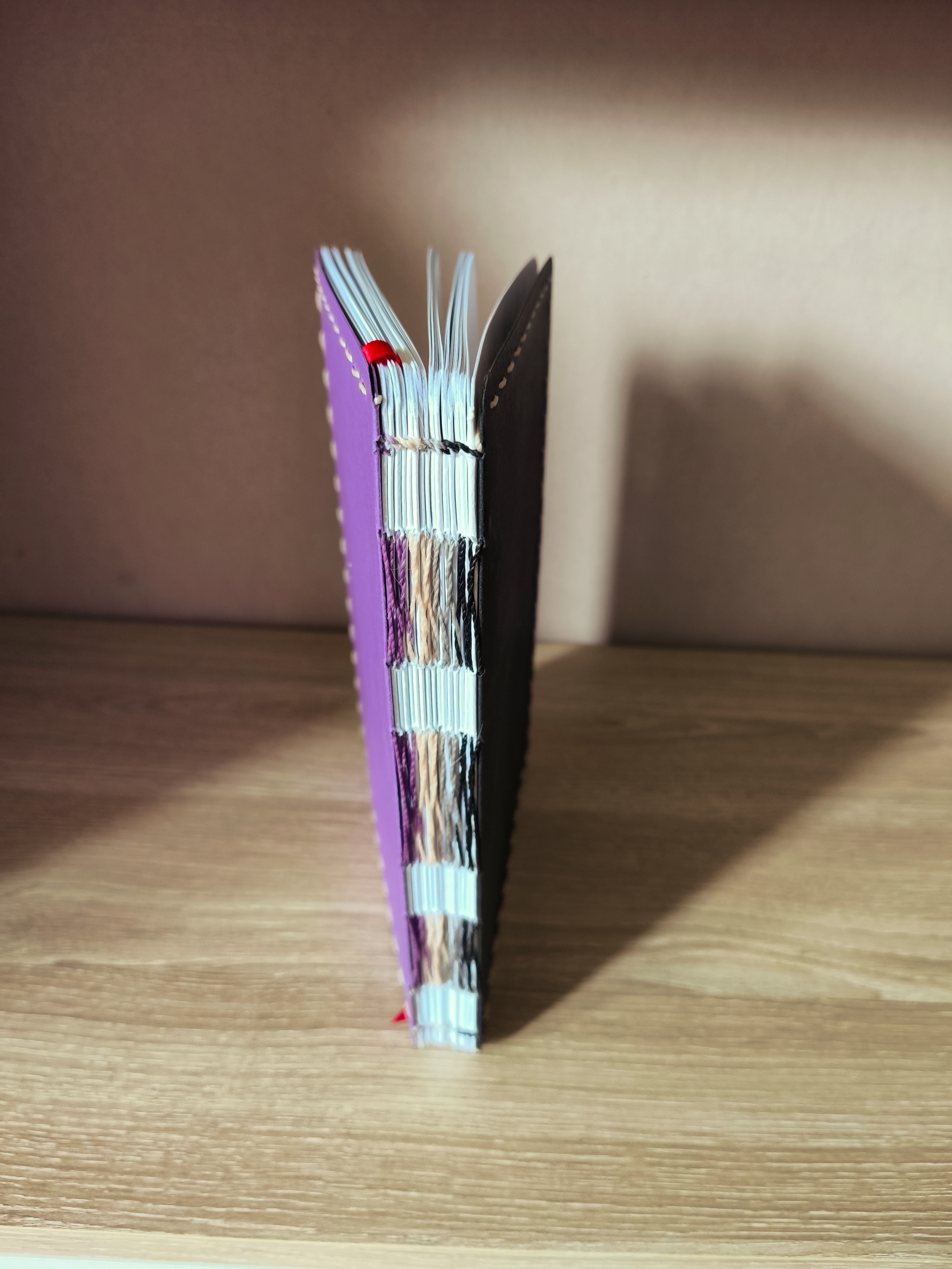 Carnet A5 · couleurs drapeau ace