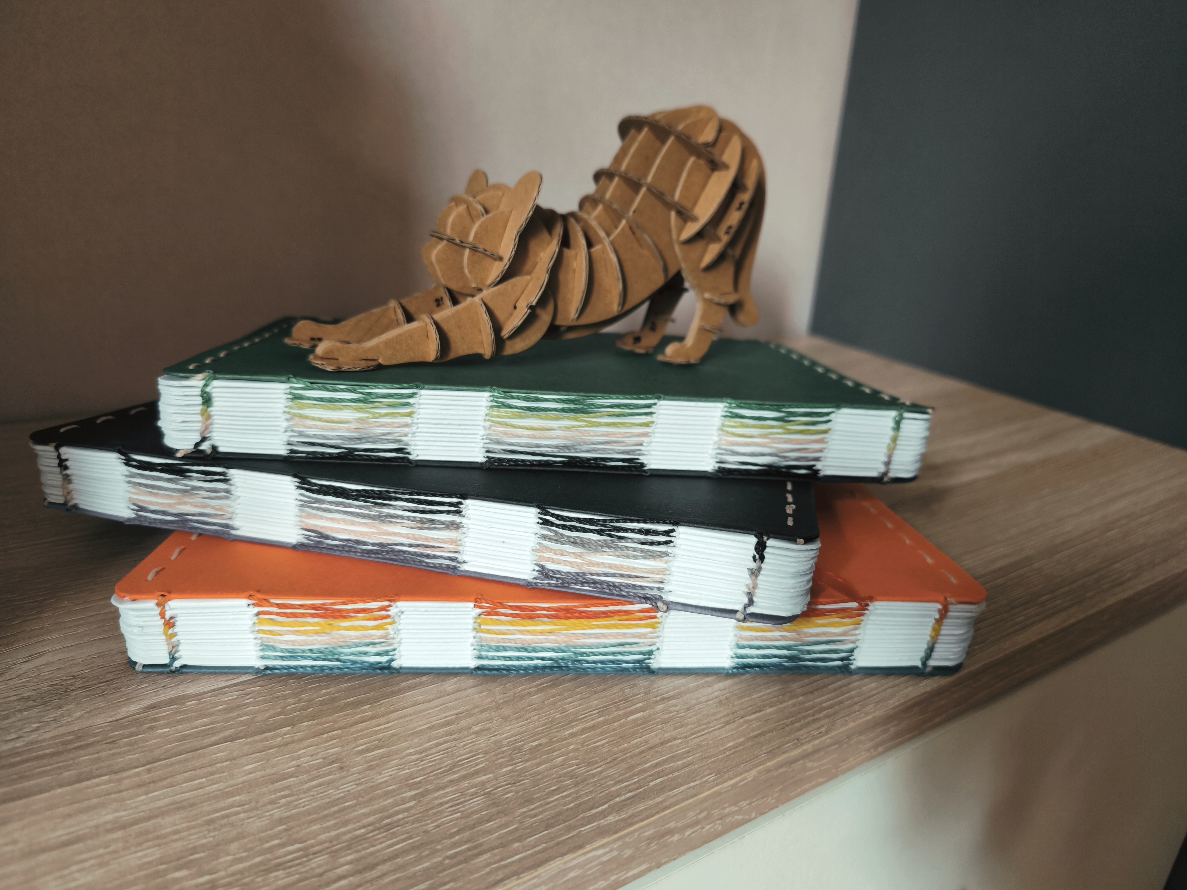 Carnets drapeaux LGBTQ+
